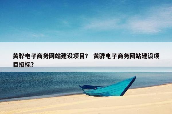 黄骅电子商务网站建设项目？ 黄骅电子商务网站建设项目招标？