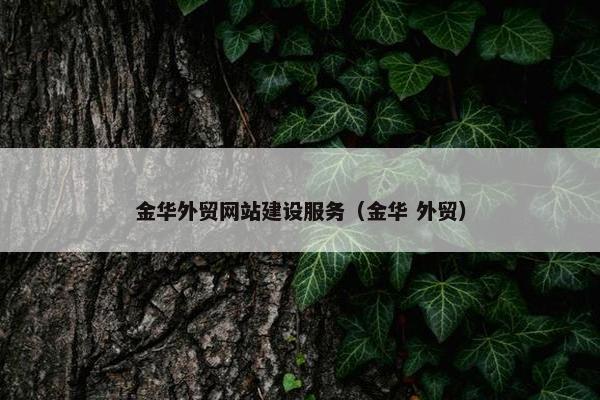 金华外贸网站建设服务（金华 外贸）