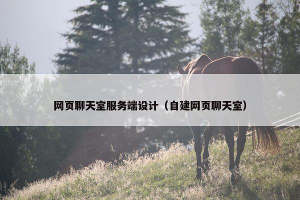 网页聊天室服务端设计（自建网页聊天室）