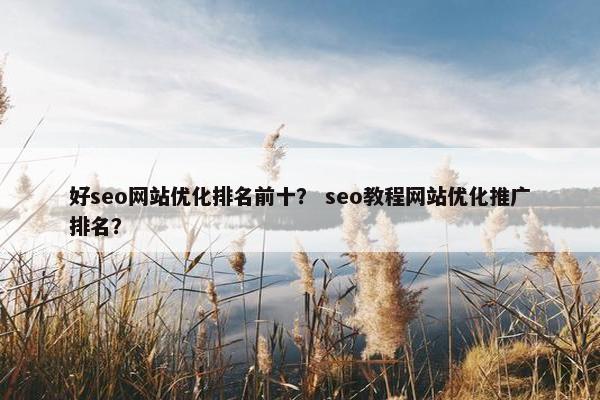好seo网站优化排名前十？ seo教程网站优化推广排名？