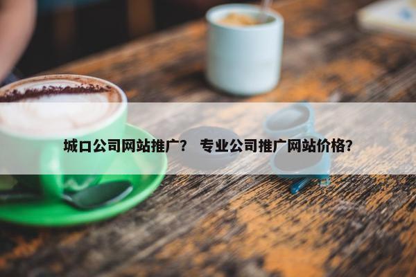 城口公司网站推广？ 专业公司推广网站价格？