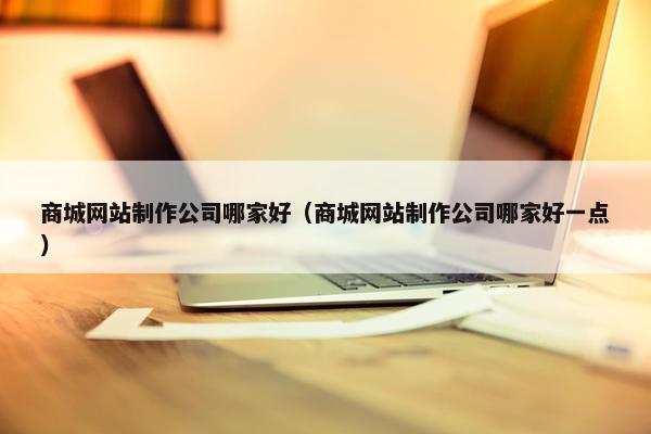 商城网站制作公司哪家好（商城网站制作公司哪家好一点）