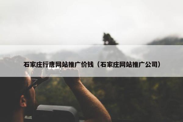 石家庄行唐网站推广价钱（石家庄网站推广公司）