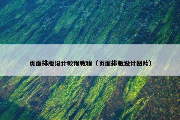 页面排版设计教程教程（页面排版设计图片）