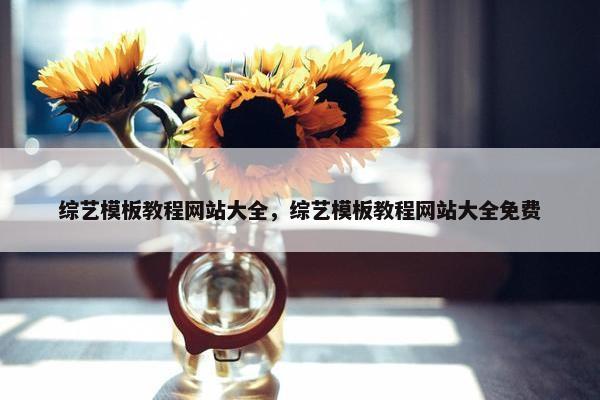 综艺模板教程网站大全，综艺模板教程网站大全免费