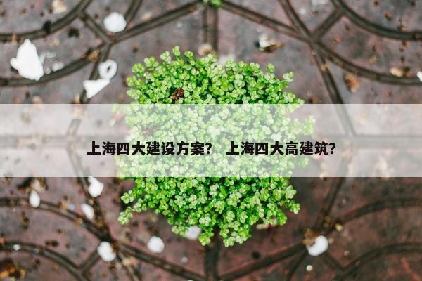 上海四大建设方案？ 上海四大高建筑？