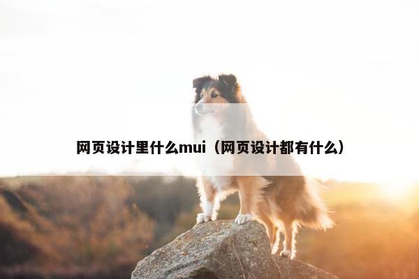 网页设计里什么mui（网页设计都有什么）