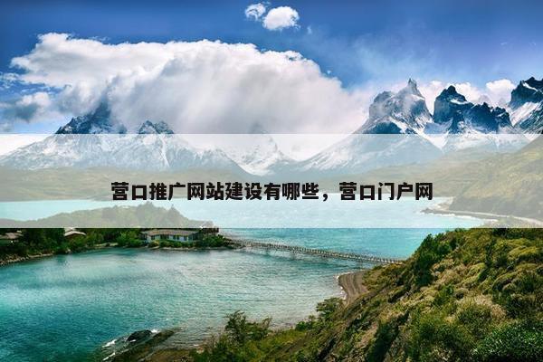 营口推广网站建设有哪些，营口门户网