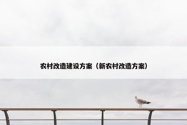 农村改造建设方案（新农村改造方案）