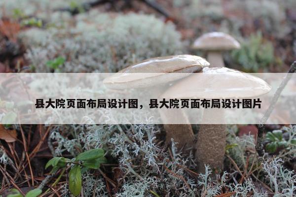 县大院页面布局设计图，县大院页面布局设计图片
