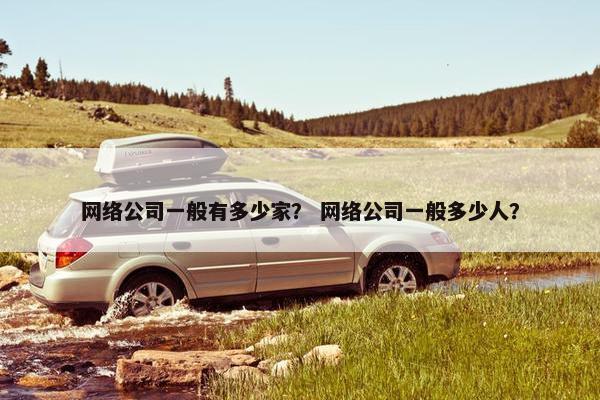 网络公司一般有多少家？ 网络公司一般多少人？