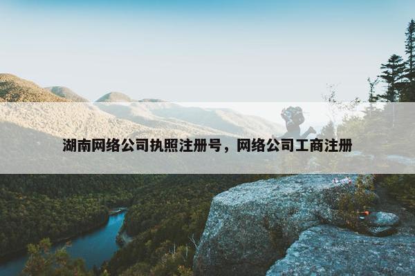 湖南网络公司执照注册号，网络公司工商注册