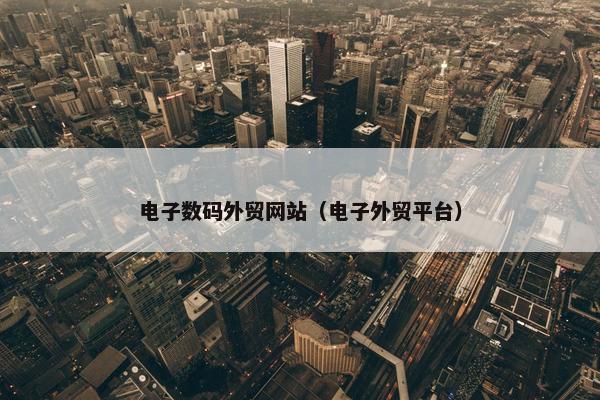 电子数码外贸网站（电子外贸平台）