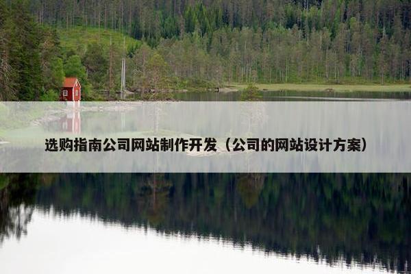 选购指南公司网站制作开发（公司的网站设计方案）