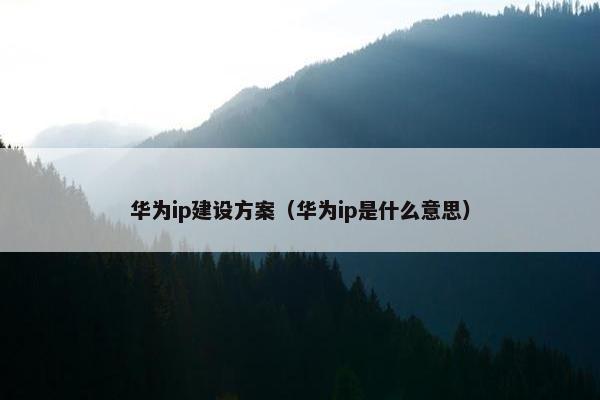 华为ip建设方案（华为ip是什么意思）