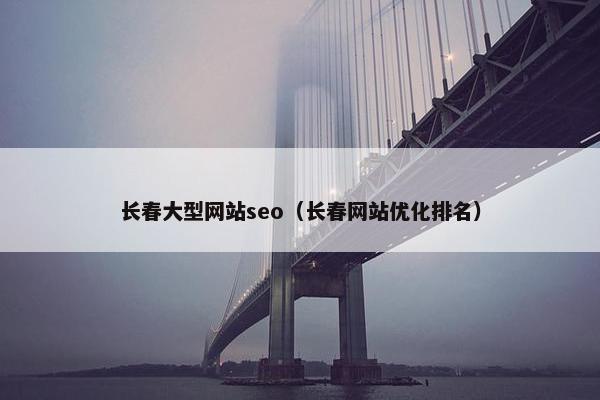 长春大型网站seo（长春网站优化排名）