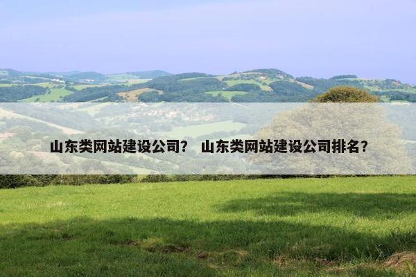 山东类网站建设公司？ 山东类网站建设公司排名？