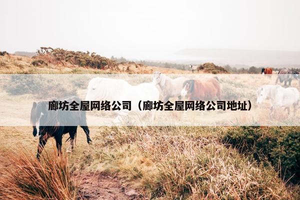 廊坊全屋网络公司（廊坊全屋网络公司地址）