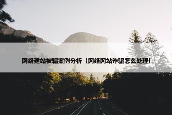网络建站被骗案例分析（网络网站诈骗怎么处理）
