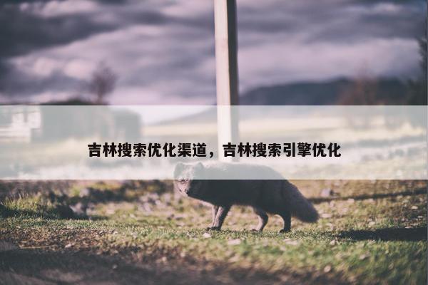 吉林搜索优化渠道，吉林搜索引擎优化
