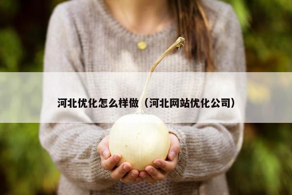 河北优化怎么样做（河北网站优化公司）