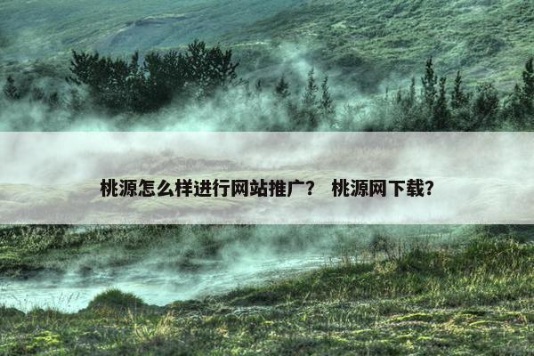 桃源怎么样进行网站推广？ 桃源网下载？