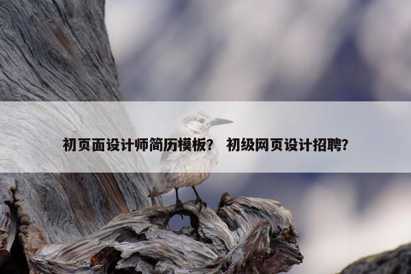 初页面设计师简历模板？ 初级网页设计招聘？