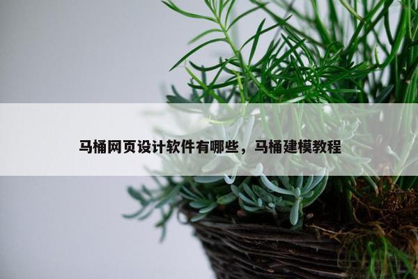 马桶网页设计软件有哪些，马桶建模教程