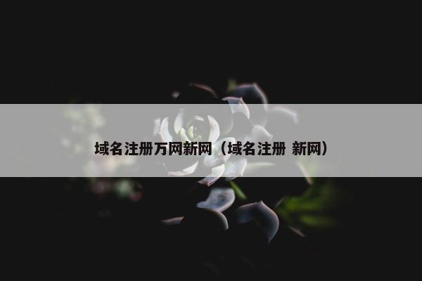 域名注册万网新网（域名注册 新网）