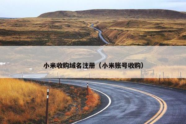 小米收购域名注册（小米账号收购）