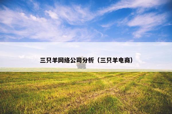 三只羊网络公司分析（三只羊电商）
