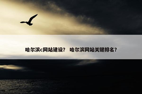 哈尔滨c网站建设？ 哈尔滨网站关键排名？