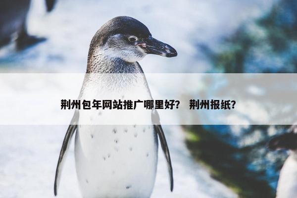 荆州包年网站推广哪里好？ 荆州报纸？