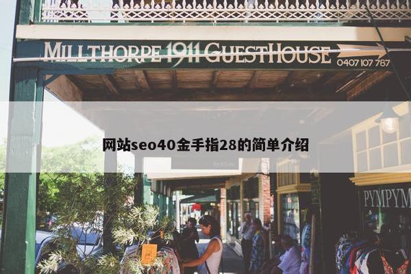 网站seo40金手指28的简单介绍