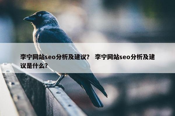 李宁网站seo分析及建议？ 李宁网站seo分析及建议是什么？