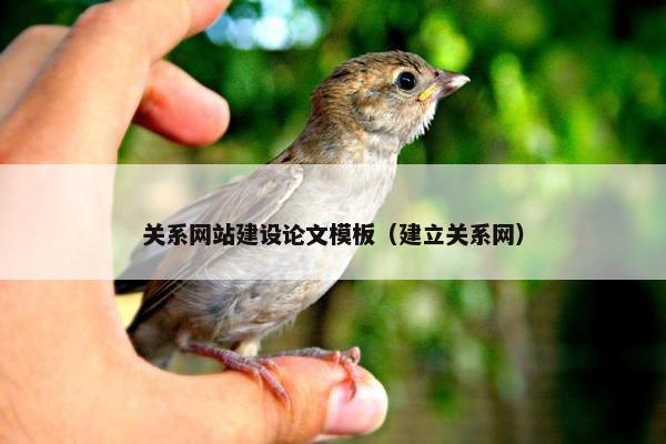 关系网站建设论文模板（建立关系网）