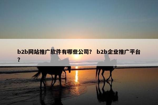 b2b网站推广软件有哪些公司？ b2b企业推广平台？