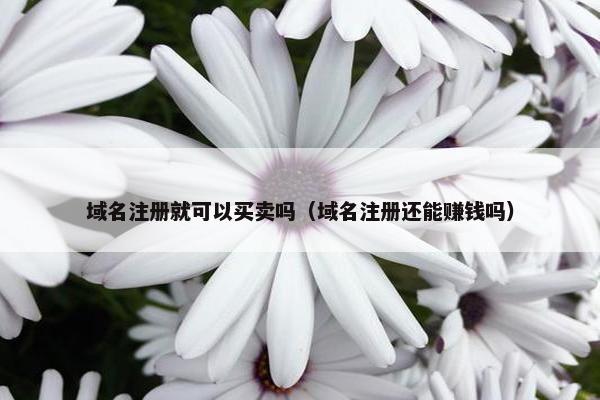 域名注册就可以买卖吗（域名注册还能赚钱吗）