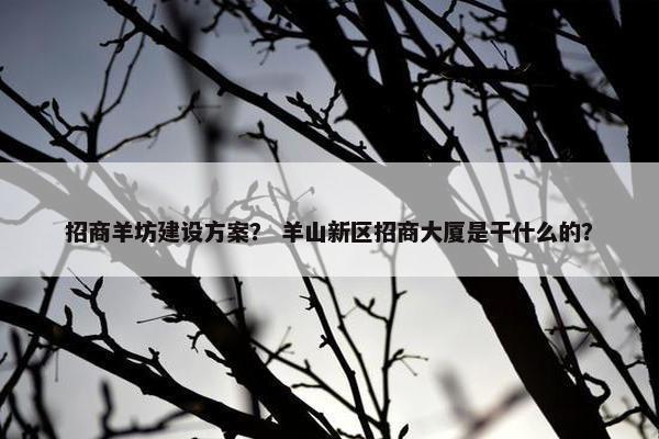 招商羊坊建设方案？ 羊山新区招商大厦是干什么的？