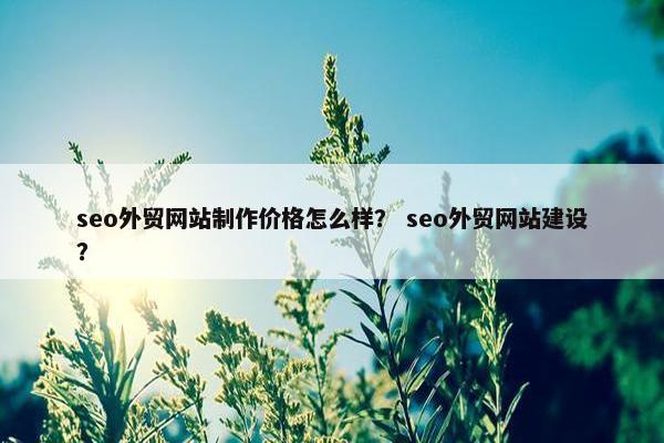 seo外贸网站制作价格怎么样？ seo外贸网站建设？