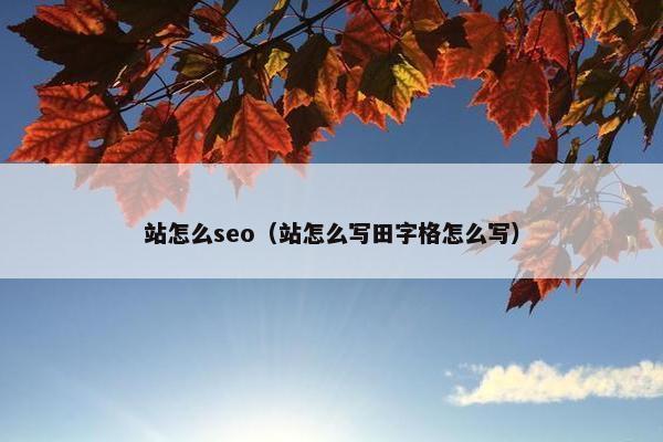 站怎么seo（站怎么写田字格怎么写）