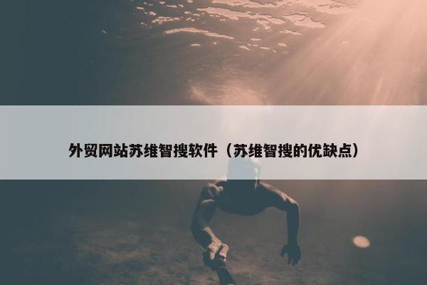 外贸网站苏维智搜软件（苏维智搜的优缺点）