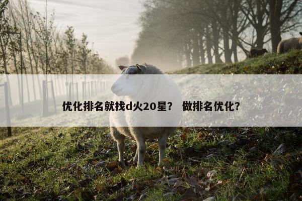 优化排名就找d火20星？ 做排名优化？