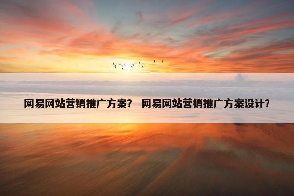 网易网站营销推广方案？ 网易网站营销推广方案设计？