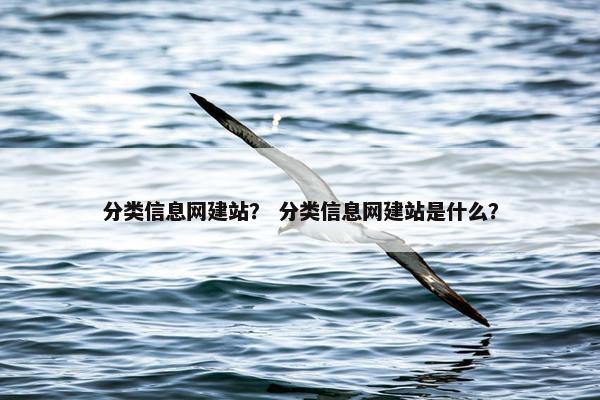 分类信息网建站？ 分类信息网建站是什么？