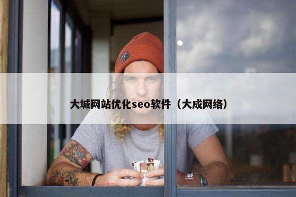 大城网站优化seo软件（大成网络）