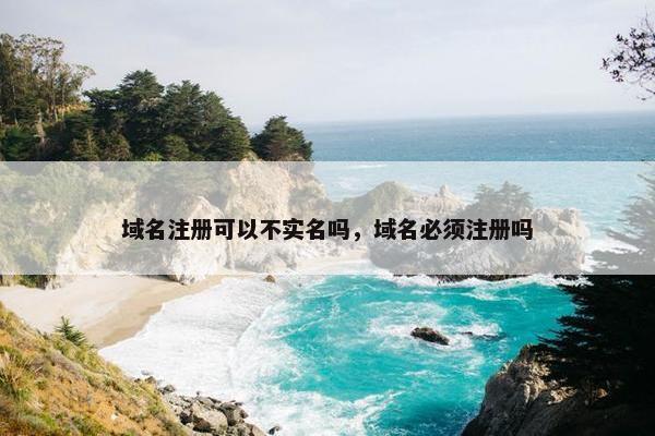 域名注册可以不实名吗，域名必须注册吗