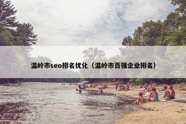温岭市seo排名优化（温岭市百强企业排名）