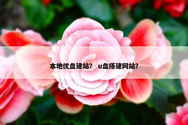本地优盘建站？ u盘搭建网站？