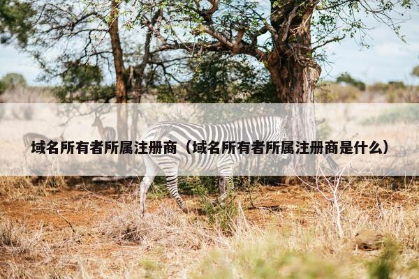 域名所有者所属注册商（域名所有者所属注册商是什么）